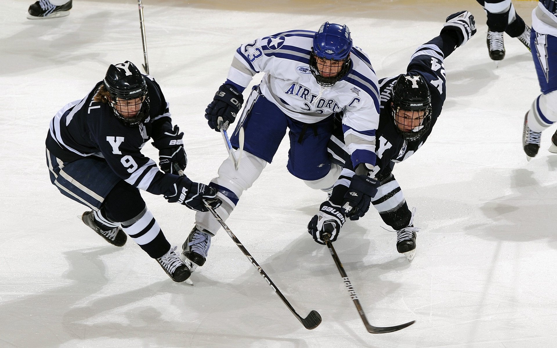 _城市高架自行车赛：穿越天际线的速度之战_，天际线建造了自行车道有用吗